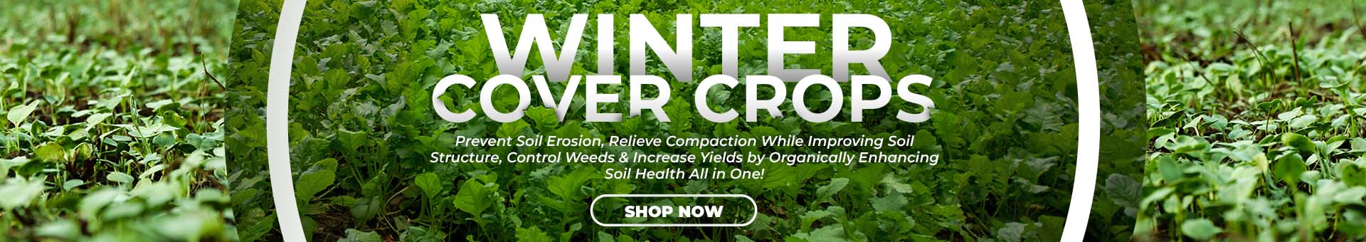 Responsive Website Banner
