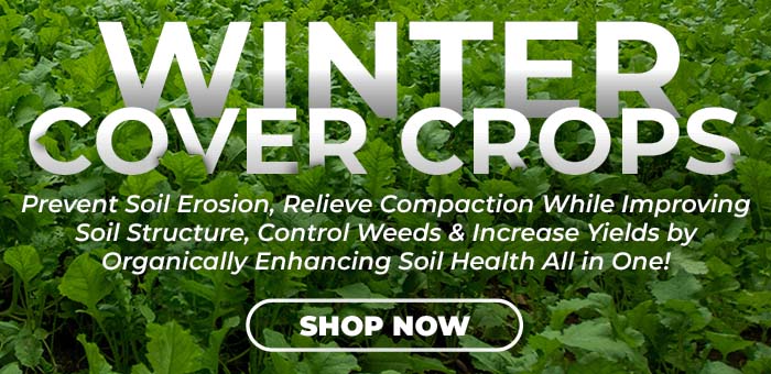 Responsive Website Banner