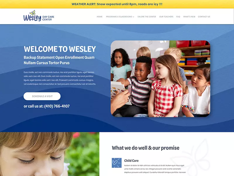 Website Design & Branding